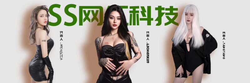 网站支付已经恢复！-SS网红科技